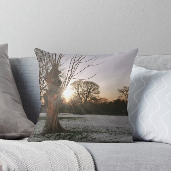 Item preview, Winter Sun designed and sold by Rachel J Bowler.