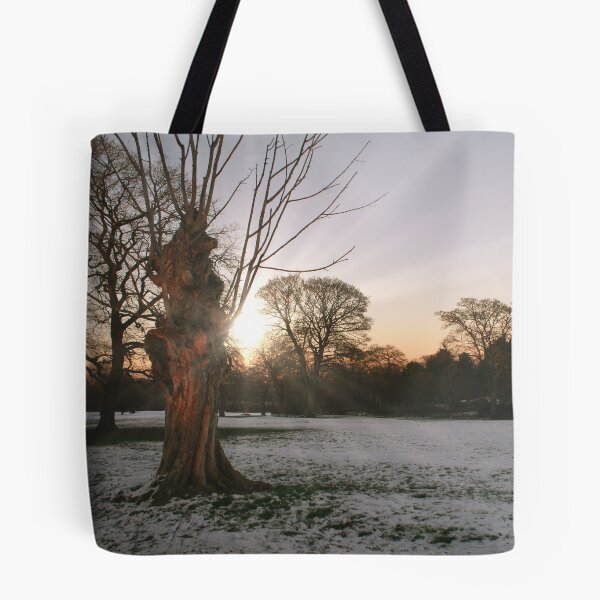 Item preview, Winter Sun designed and sold by Rachel J Bowler.