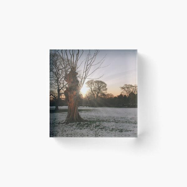 Item preview, Winter Sun designed and sold by Rachel J Bowler.