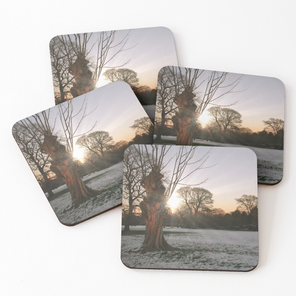 Item preview, Coasters (Set of 4) designed and sold by RachelJBowler.