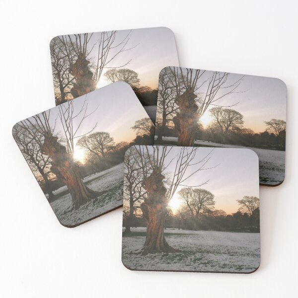 Item preview, Winter Sun designed and sold by Rachel J Bowler.
