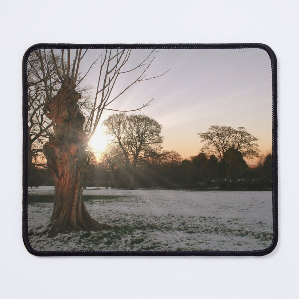 Item preview, Winter Sun designed and sold by Rachel J Bowler.