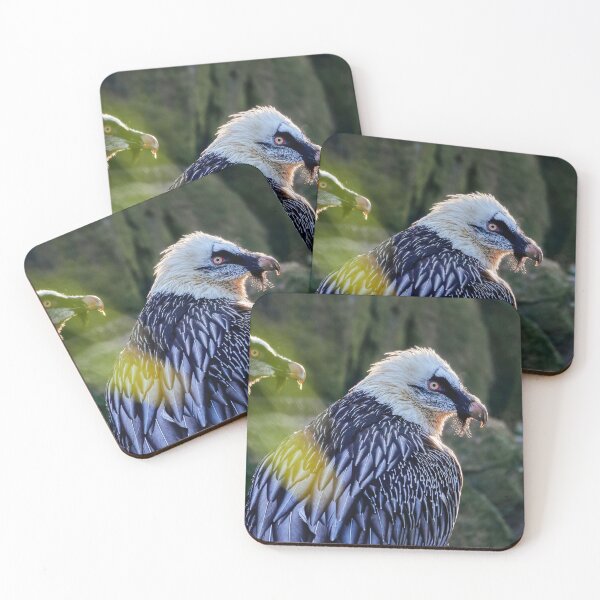 Item preview, Bearded Vulture designed and sold by Eidetic Photos.