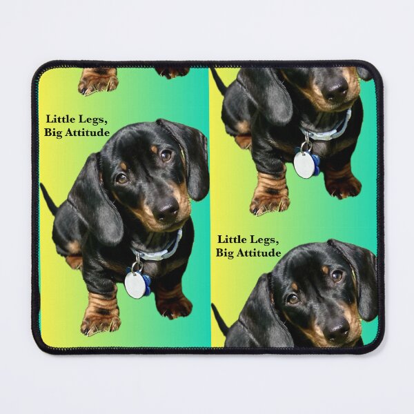 Item preview, Little legs big attitude, Odin as a puppy designed and sold by Beth1975.