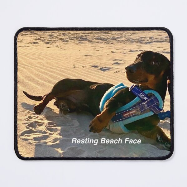 Item preview, Odin, his resting beach face ? designed and sold by Beth1975.