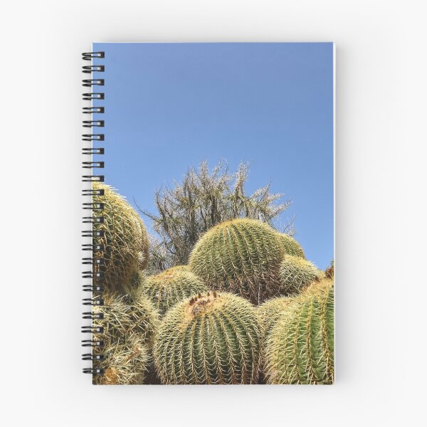 Aperçu de l'œuvre Cactus verts sur fond de ciel bleu créée et vendue par StylishDecor.