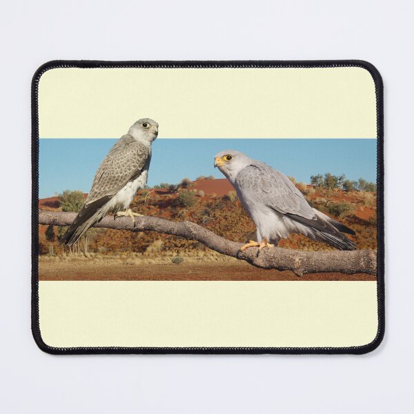 Item preview, Grey Falcon designed and sold by ZoObsessed.