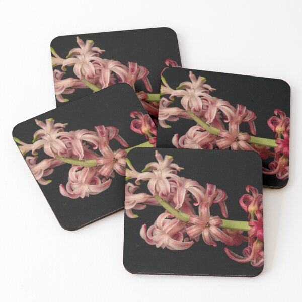 Item preview, Aging But Still Beautiful Hyacinth designed and sold by Gerda Grice Photography.