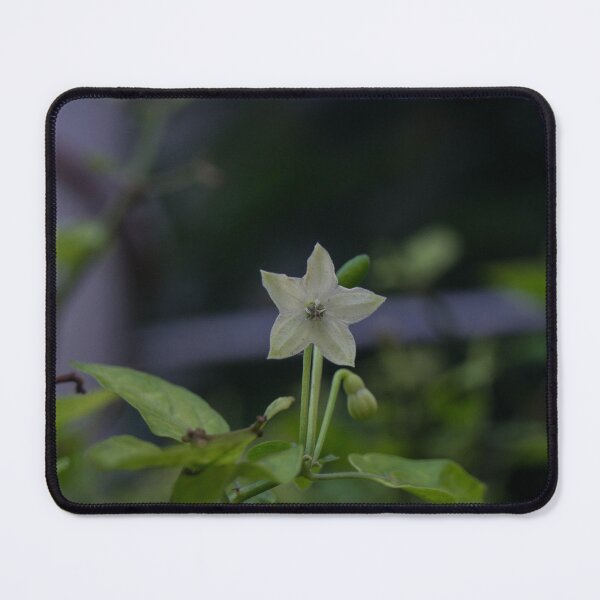 Item preview, bird's eye chili designed and sold by ROSE ANN BANILAR.