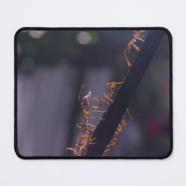 Item preview, Weaver Ants with larva designed and sold by ROSE ANN BANILAR.