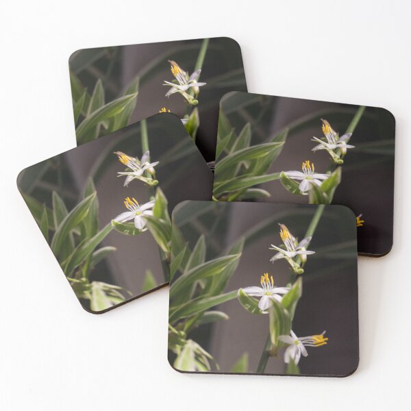 Item preview, spider plant designed and sold by ROSE ANN BANILAR.