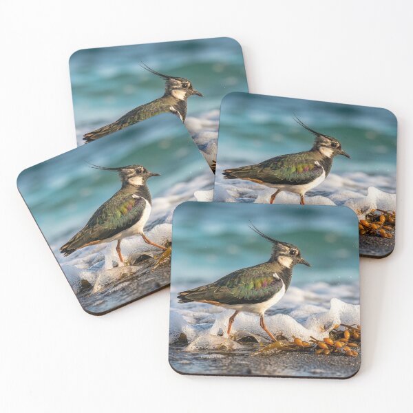 Item preview, Lapwing Forages for Food Along Ocean Shore designed and sold by Tridentulus.