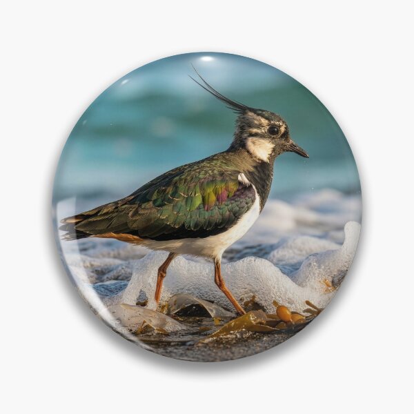 Item preview, Lapwing Forages for Food Along Ocean Shore designed and sold by Tridentulus.
