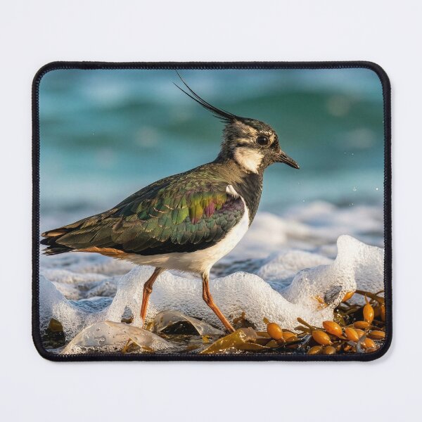 Item preview, Lapwing Forages for Food Along Ocean Shore designed and sold by Tridentulus.