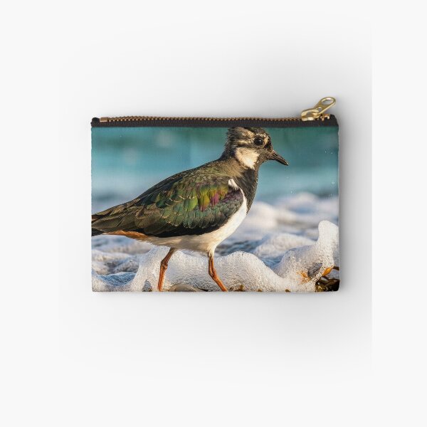 Item preview, Lapwing Forages for Food Along Ocean Shore designed and sold by Tridentulus.