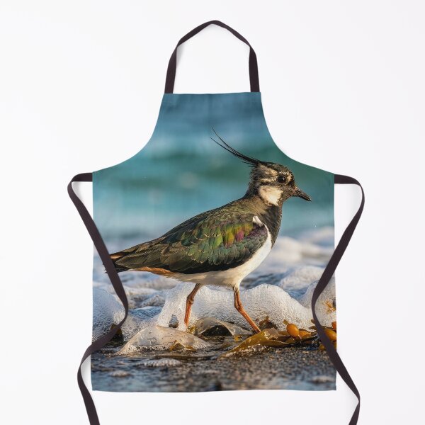 Item preview, Lapwing Forages for Food Along Ocean Shore designed and sold by Tridentulus.