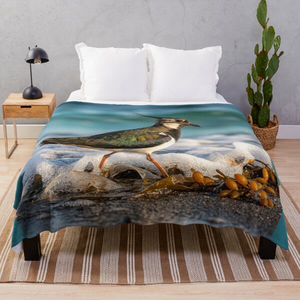 Item preview, Lapwing Forages for Food Along Ocean Shore designed and sold by Tridentulus.