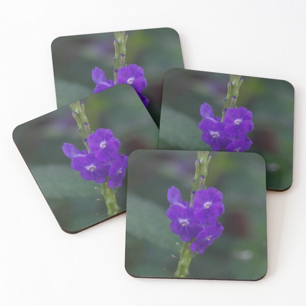 Item preview,  Porterweed or Blue Porterweed designed and sold by ROSE ANN BANILAR.