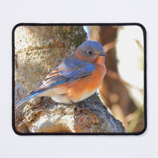 Item preview, Blue bird designed and sold by Parks and X.