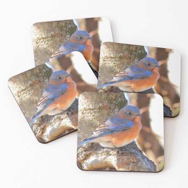 Item preview, Blue bird designed and sold by Parks and X.