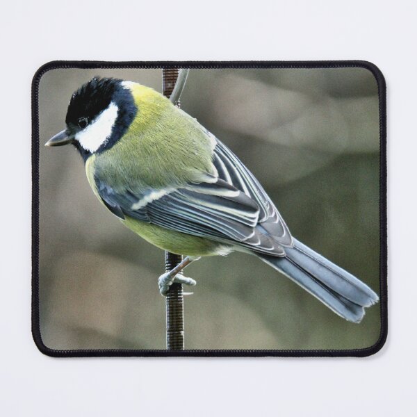 Item preview, great tit designed and sold by KathleenDawson.