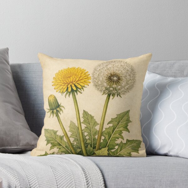 Item preview, Vintage Dandelion Botanical Illustration – Taraxacum Officinale Antique Print designed and sold by Darlin8888.