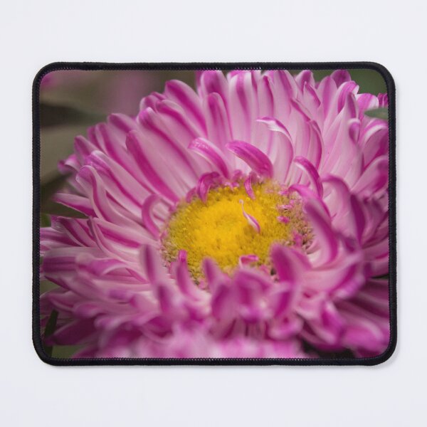 Item preview, Home Garden Blooming Flower Digital Photography Design designed and sold by vtspatial.