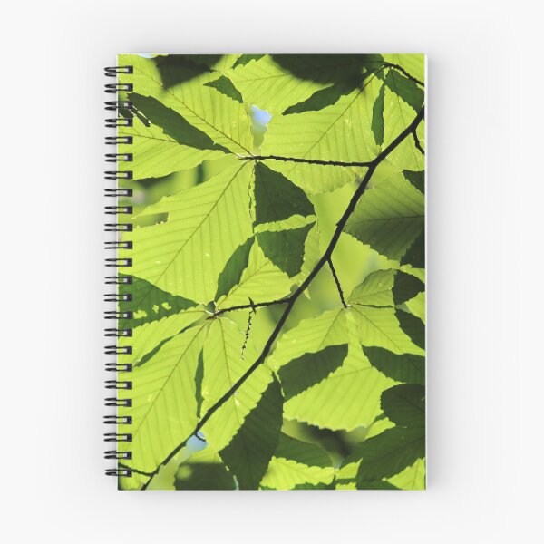 Item preview, Leaf Canopy designed and sold by RYBHOWE.