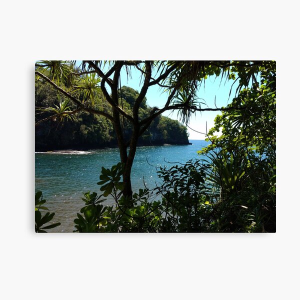 AHT Fifthteen - Art Print 8:10 Canvas Print