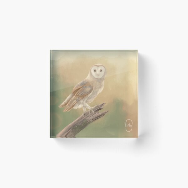 Item preview, Barn Owl in spring designed and sold by KimeraOne.