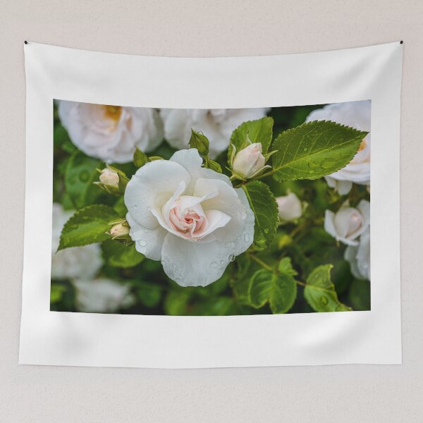 Item preview, White roses designed and sold by Erwin G. Kotzab.