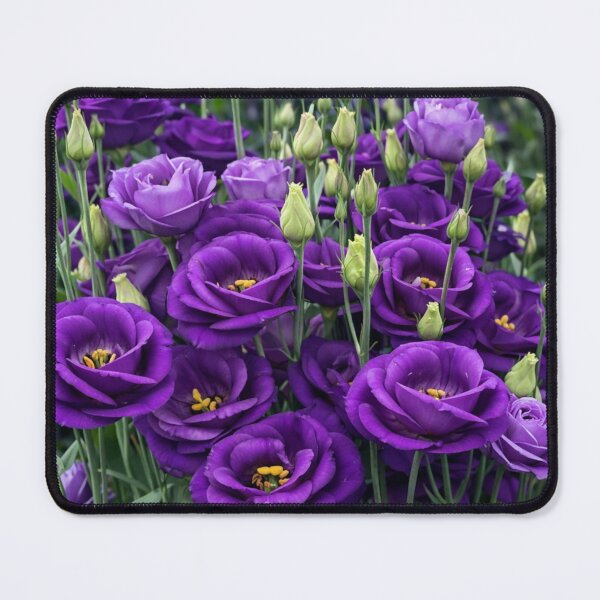 Item preview, Royal Purple Lisianthus Garden designed and sold by Dreamy Armine Art.