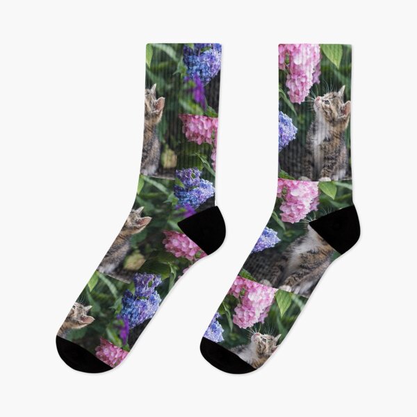 Item preview, Curious Kitten in the Hydrangeas designed and sold by Dreamy Armine Art.