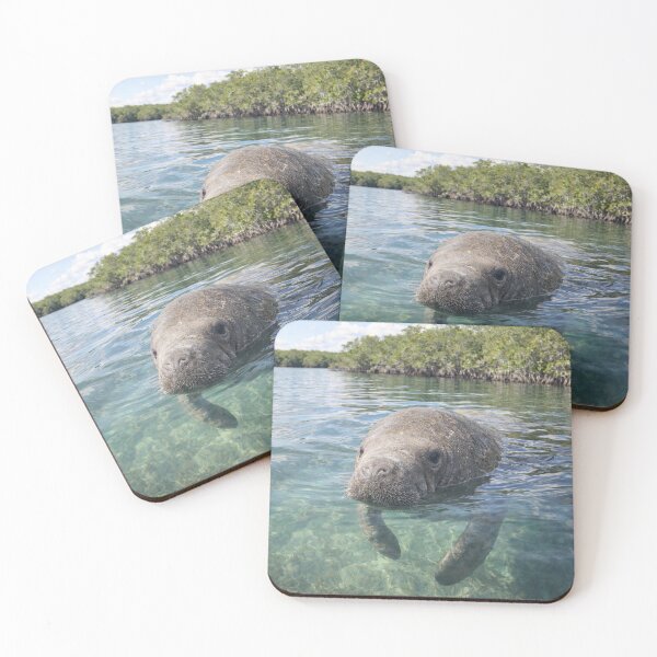 Item preview, Manatí de Florida - Everglades de Florida designed and sold by PamLeeDesign.