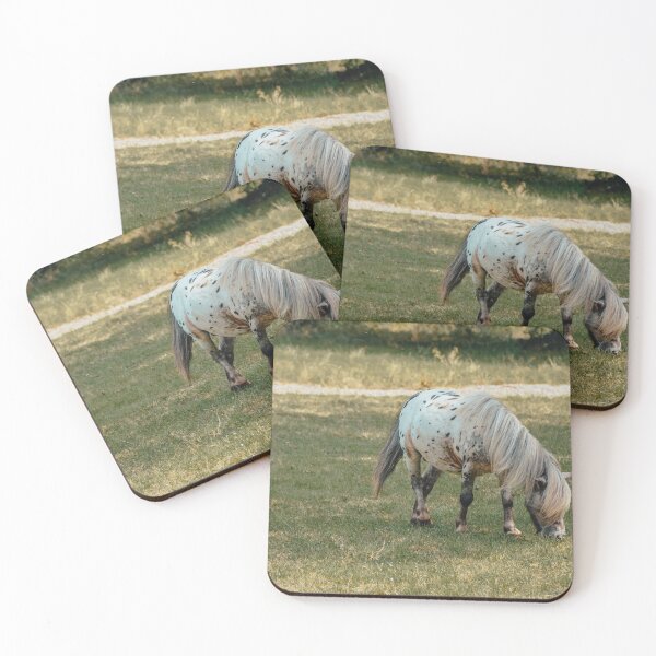 Item preview, Spotted Pony Grazing in Meadow – Peaceful Nature Photography Print designed and sold by tiazre.