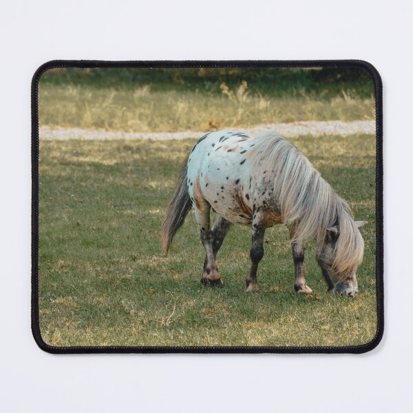 Item preview, Spotted Pony Grazing in Meadow – Peaceful Nature Photography Print designed and sold by tiazre.