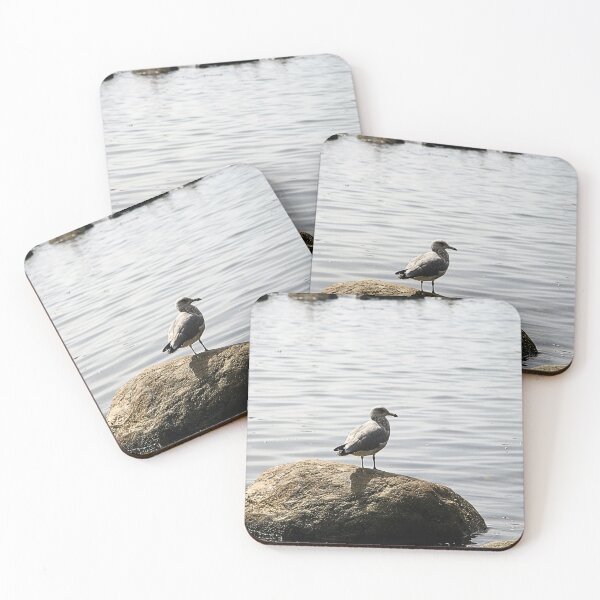 Item preview, I found my own rock. designed and sold by WeatherShot.