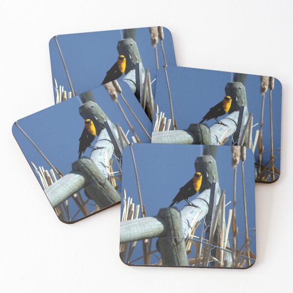 Item preview, Yellow-Headed Blackbird in the Reeds designed and sold by WeatherShot.