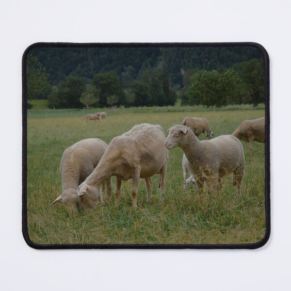Item preview, Fluffy Friends: Alpine Sheep designed and sold by AKI | Art Kode of Imagination.