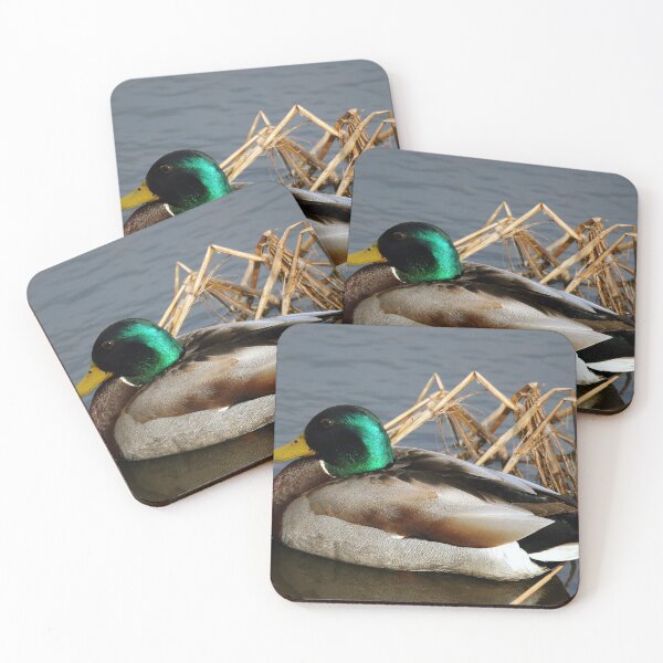 Item preview, The Mallard of Minneapolis designed and sold by WeatherShot.
