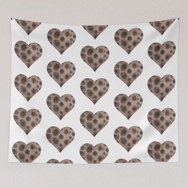 Item preview, Petoskey stone heart pattern, the Great Lake state, Michigan stone | Michigander  designed and sold by hollycooper.