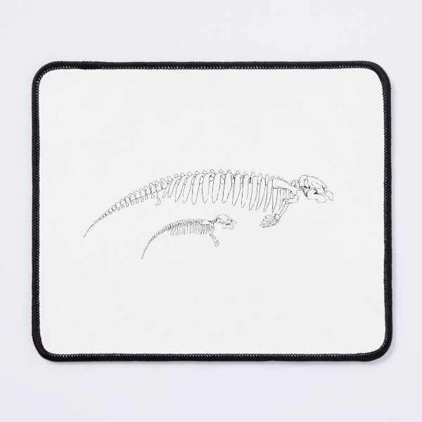 Item preview, Manatee skeletons designed and sold by marie670.