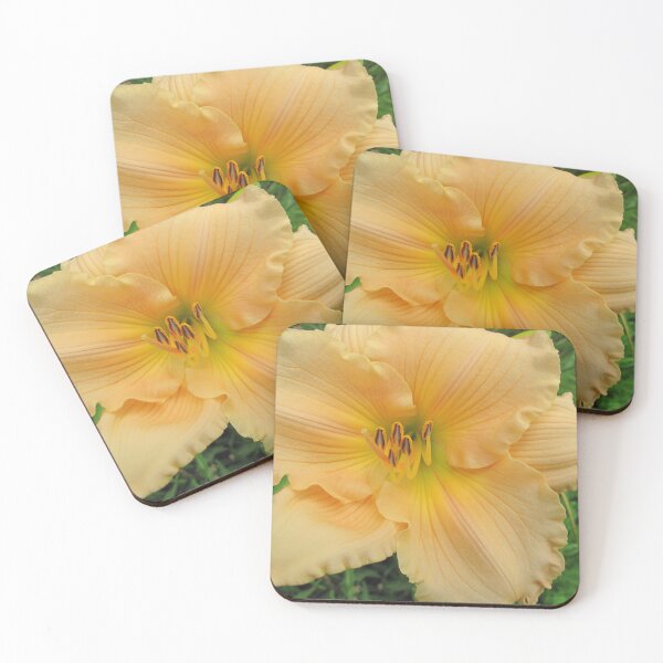 Item preview, Yellow Lily designed and sold by BostonArcImage.