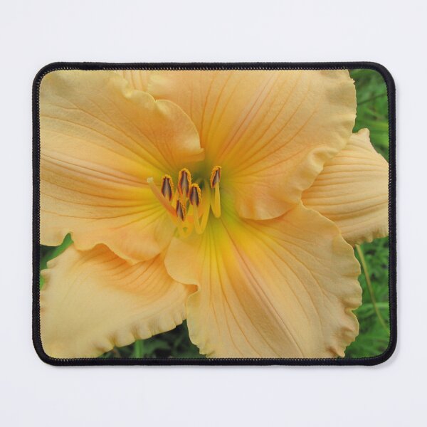 Item preview, Yellow Lily designed and sold by BostonArcImage.