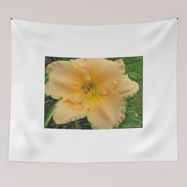 Item preview, Yellow Lily designed and sold by BostonArcImage.