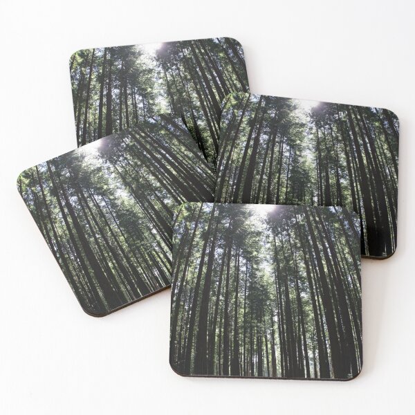 Item preview, Tall trees on the hike to China Beach designed and sold by WeatherShot.