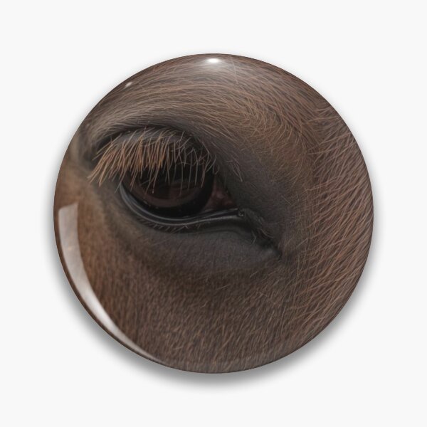 Item preview, Horse closeup designed and sold by tipitoes.