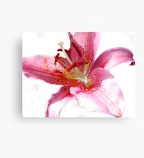 Pink Lily in watercolour Canvas Print