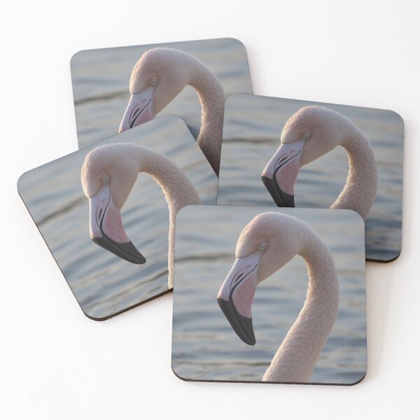 Item preview, Flamingo designed and sold by tipitoes.