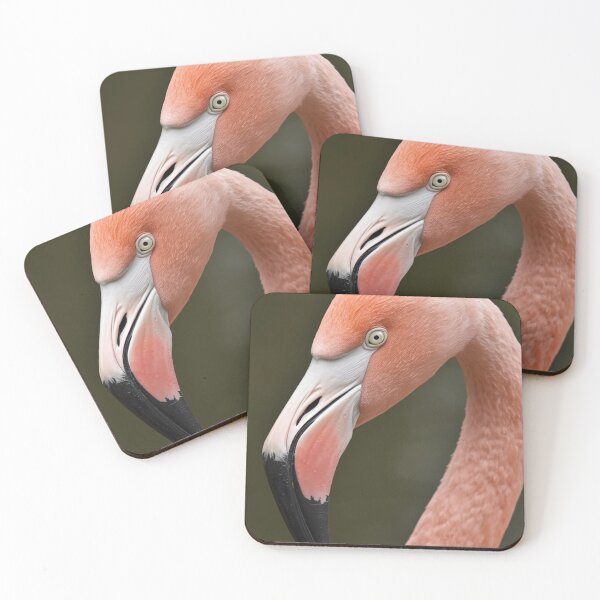 Item preview, Flamingo designed and sold by tipitoes.